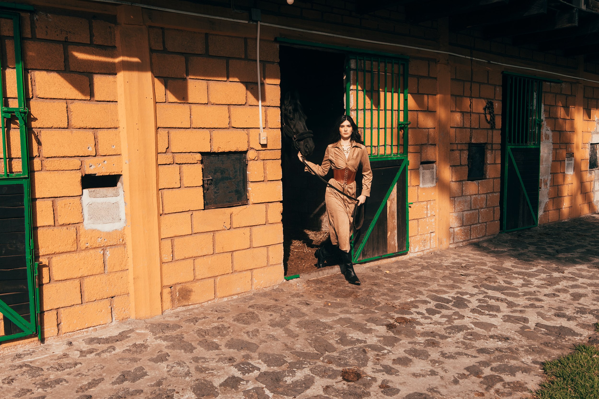 Silvana D X website.jpg