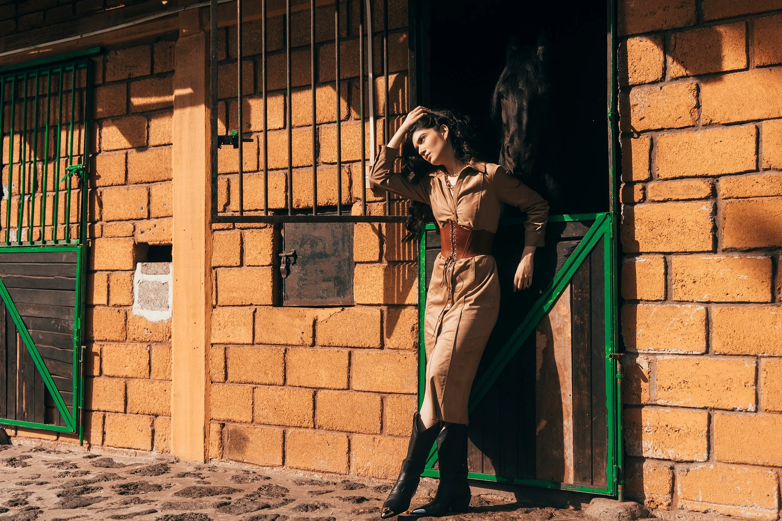 Silvana D V-2 website.jpg