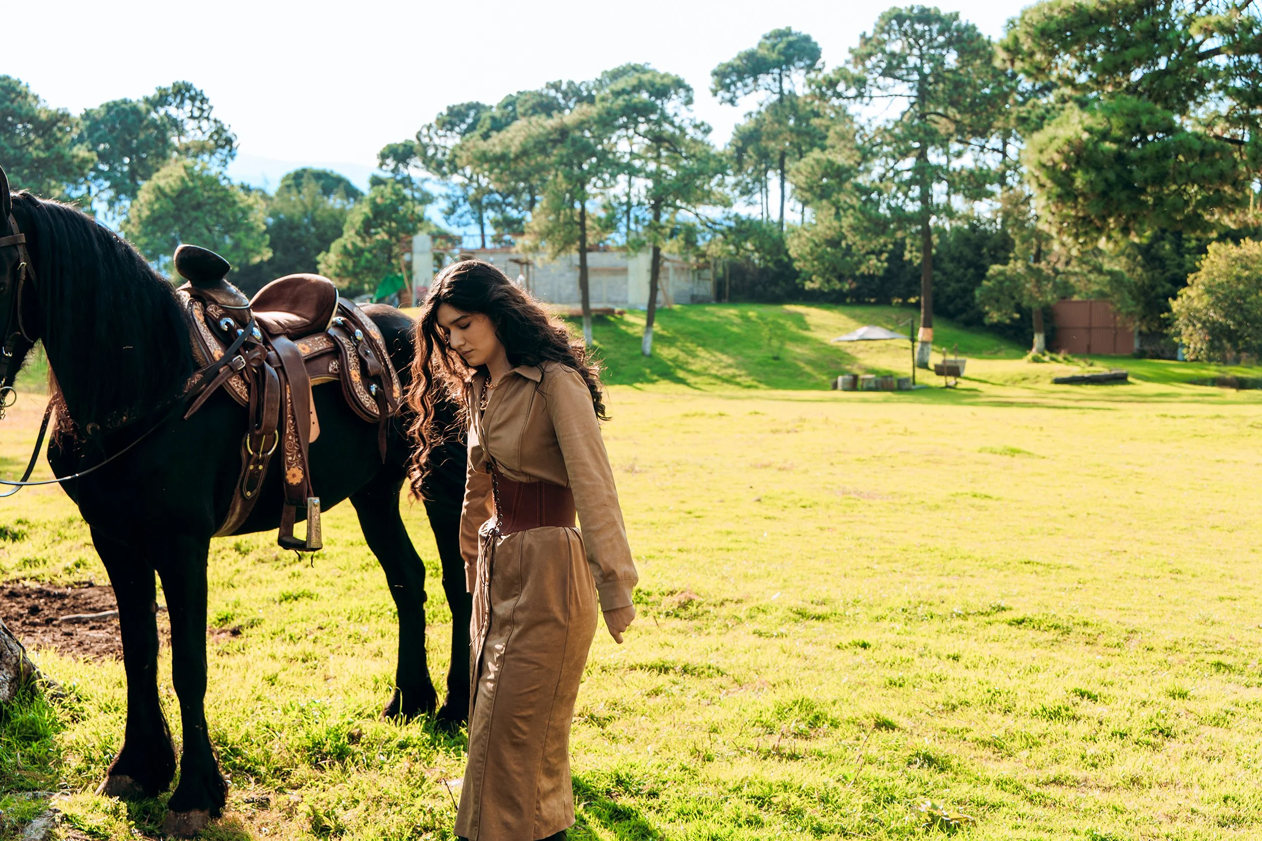 Silvana D XIV website.jpg