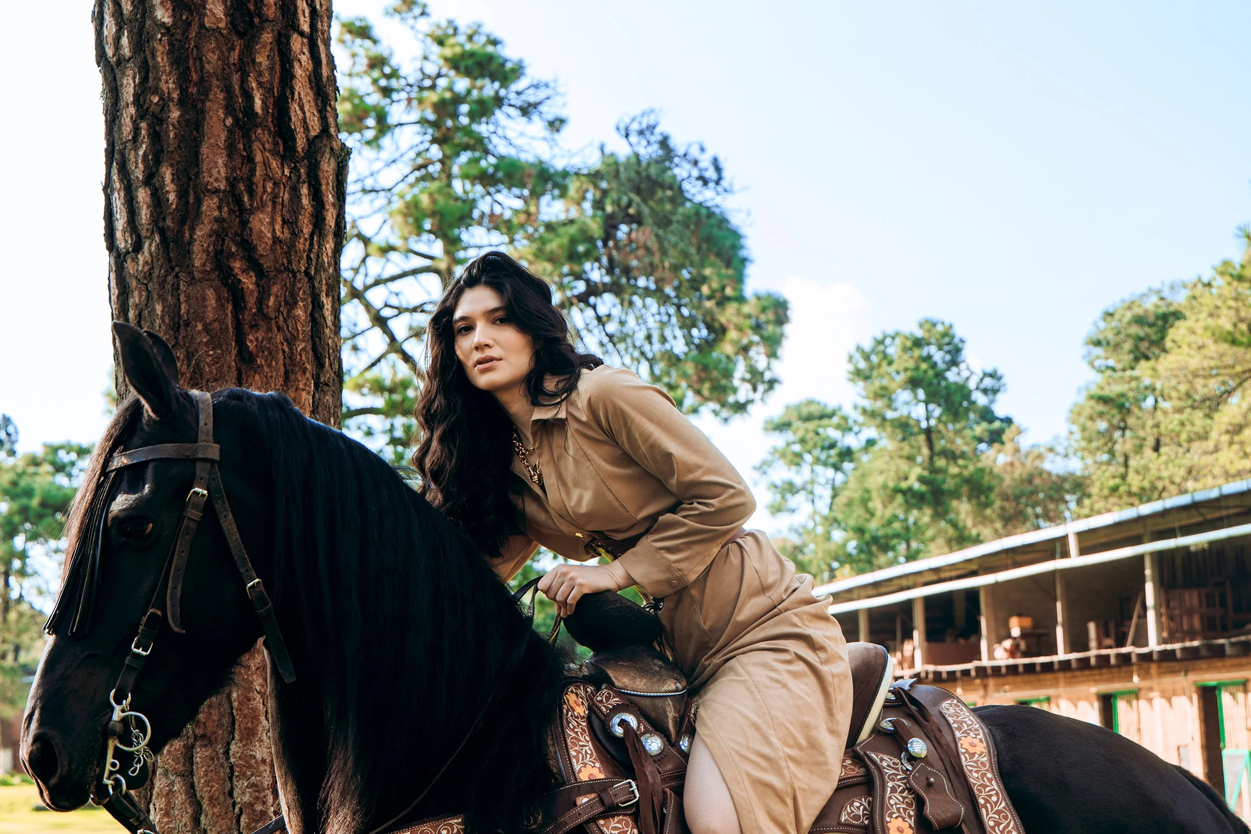 Silvana D XIX website.jpg