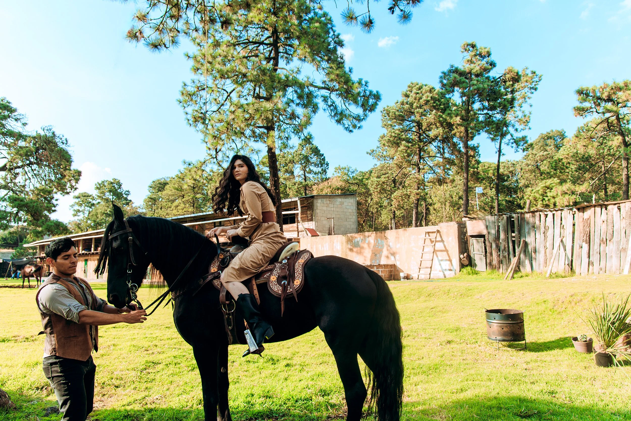 Silvana D XV website.jpg