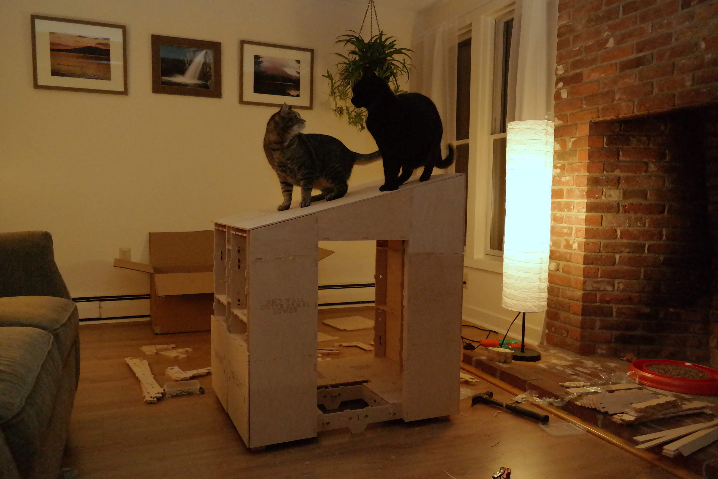 See! It's sturdy enough for two cats!