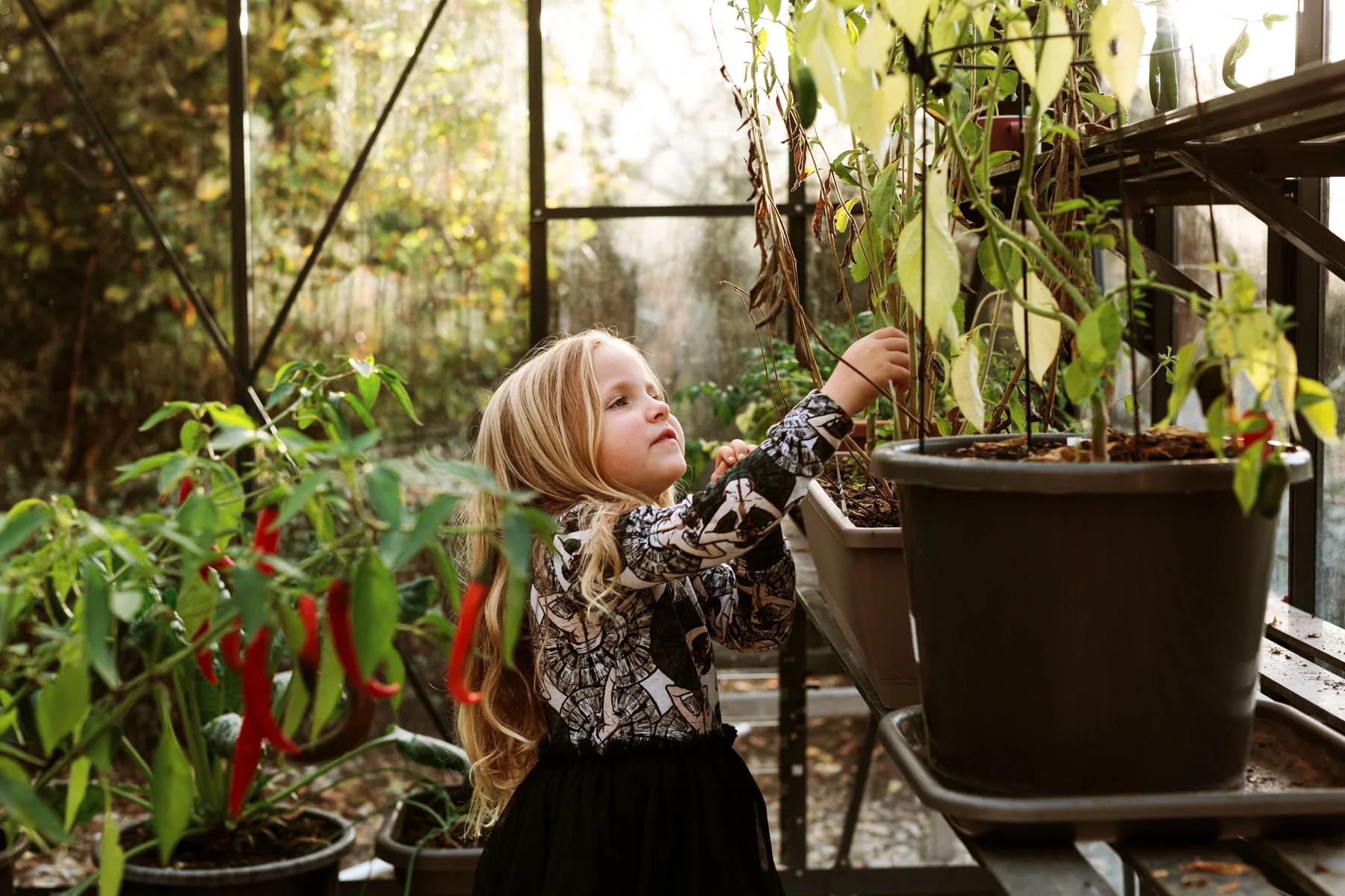 Stark Waikato family photographer-4911.jpg