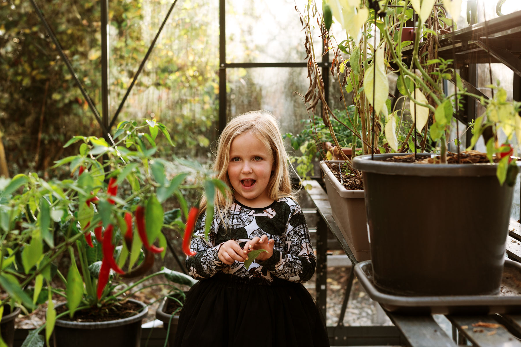Stark Waikato family photographer-4912.jpg