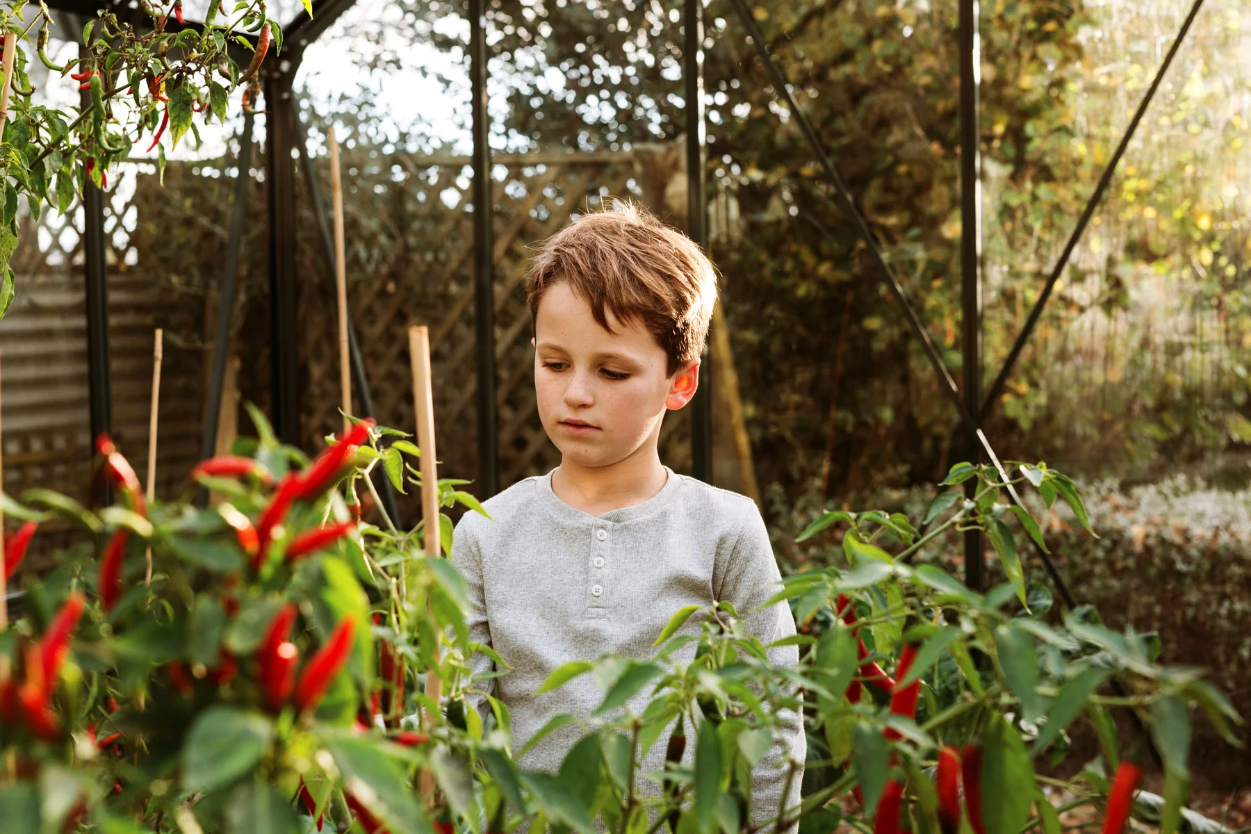 Stark Waikato family photographer-4917.jpg