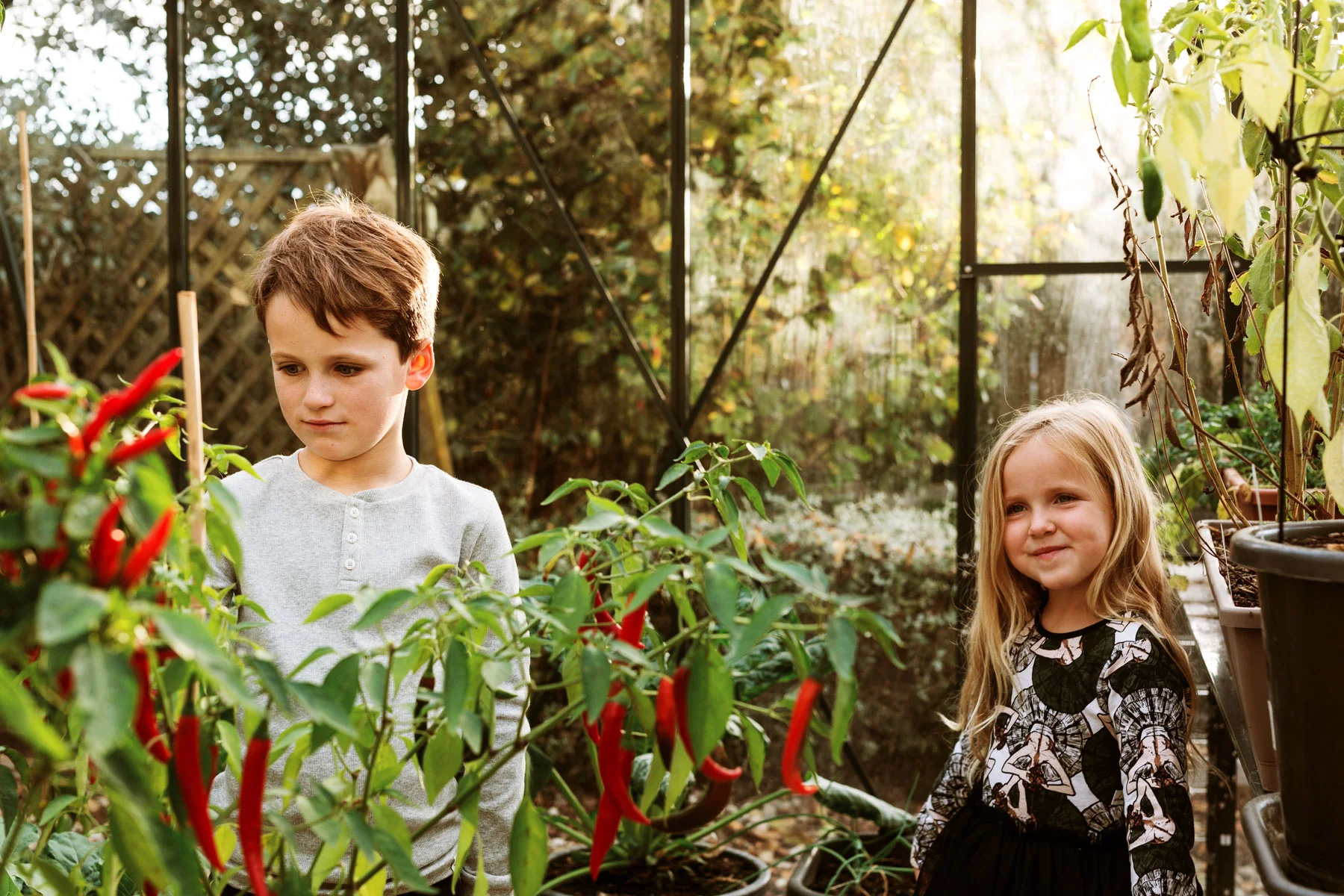 Stark Waikato family photographer-4919.jpg