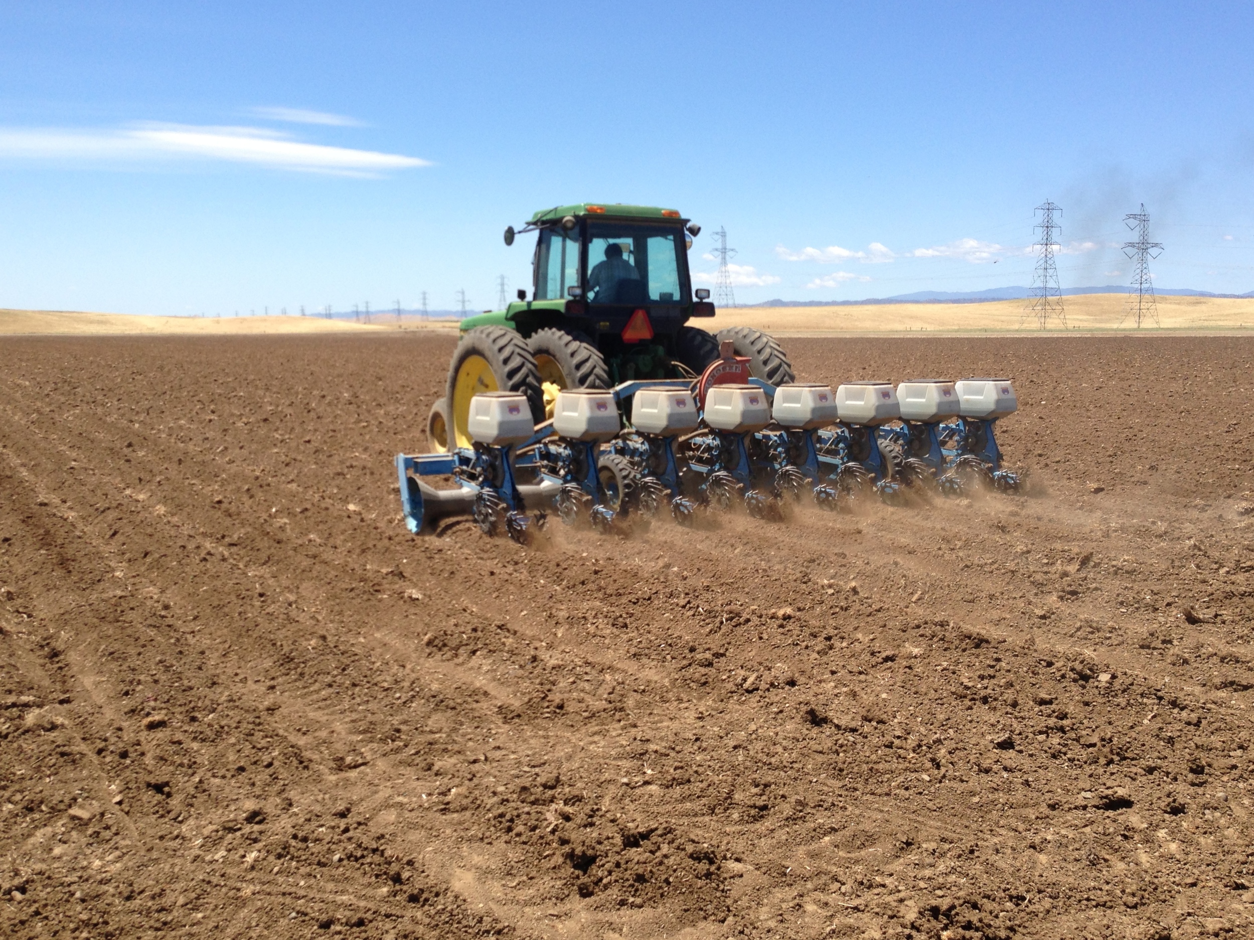 Production is planted with the latest, state of the art precision planters in order to establish uniform growing populations, seed size and quality. 