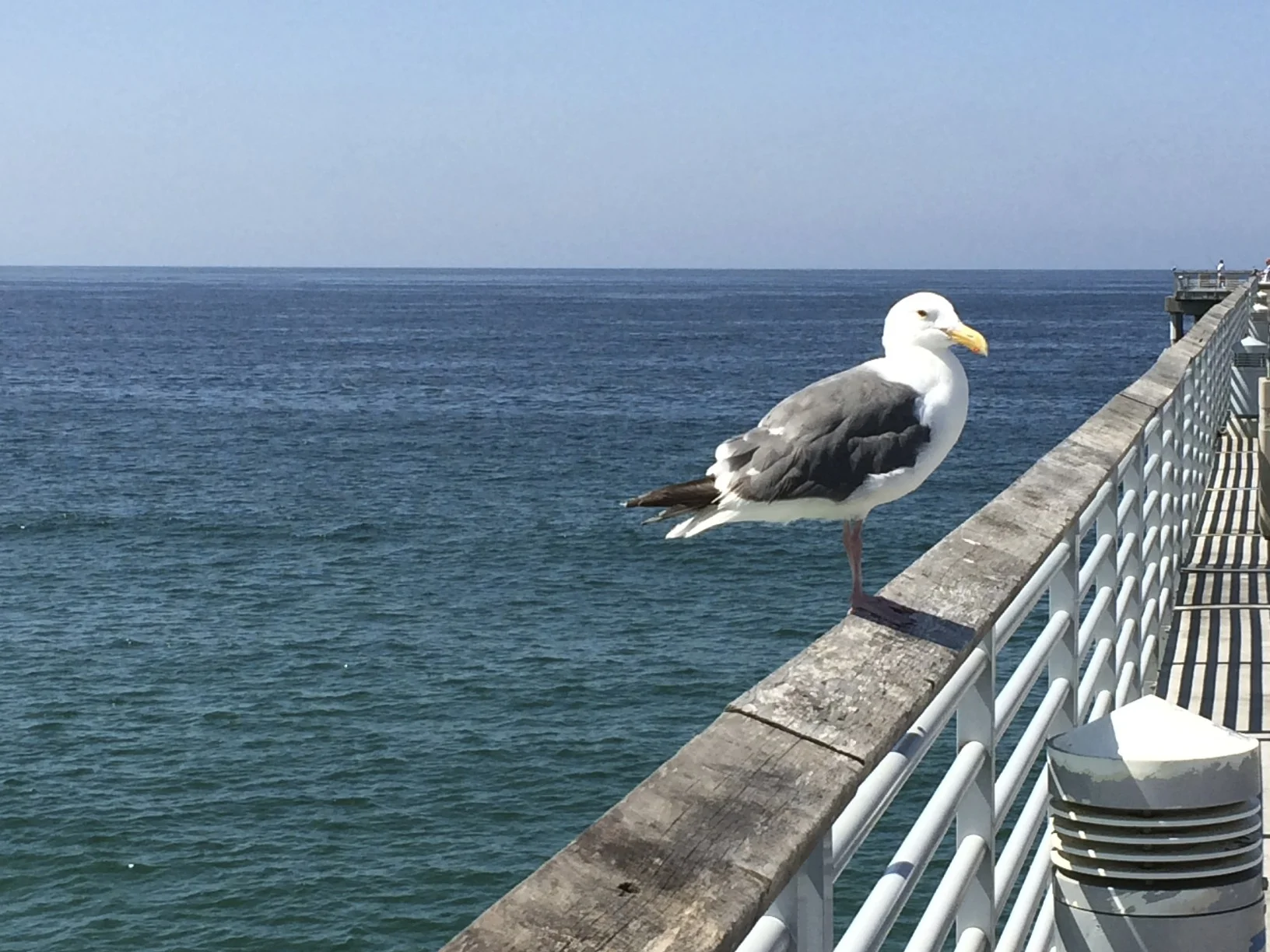 The Adventure Begins...