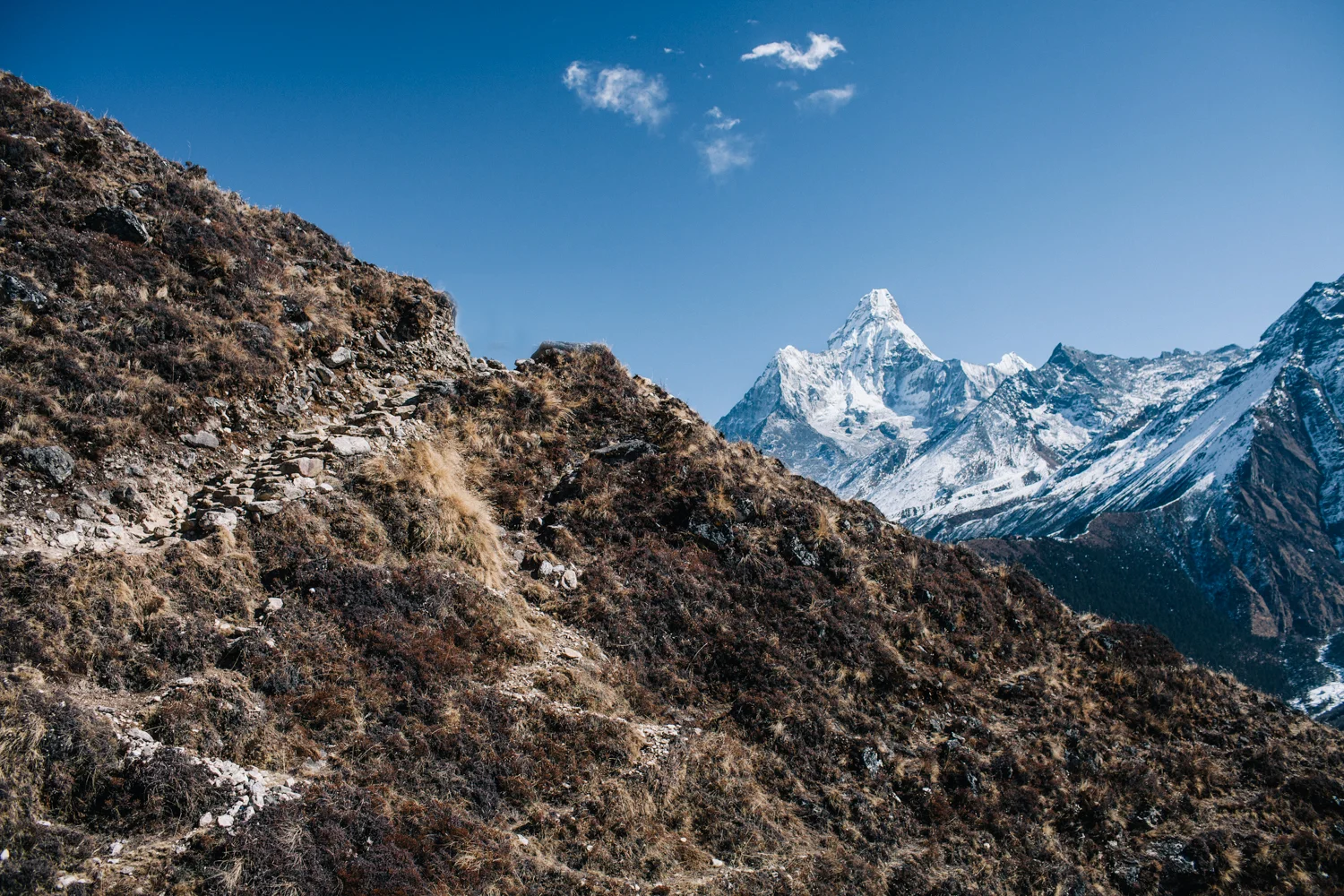 Will Salkeld©_Nepal_26_Ama Dablam.jpg