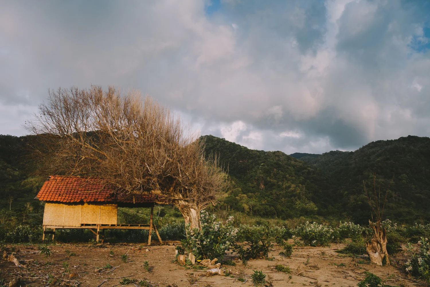 Will Salkeld©_Indonesia_7_Sumbawa.jpg