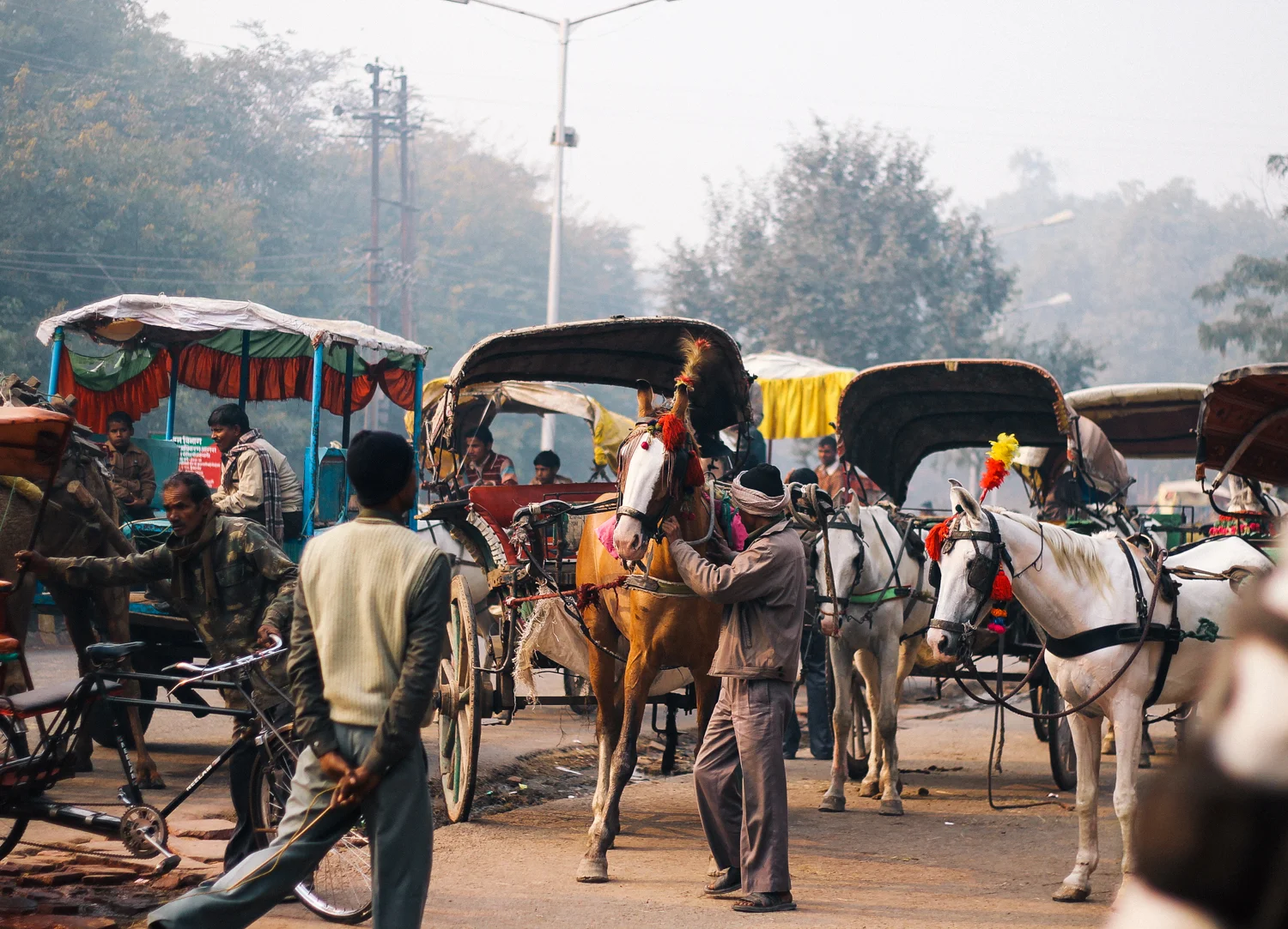 Will Salkeld©_India_3_Agra.jpg