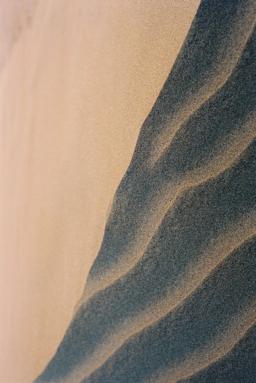 Will Salkeld©_India_11_Khuri Desert.jpg
