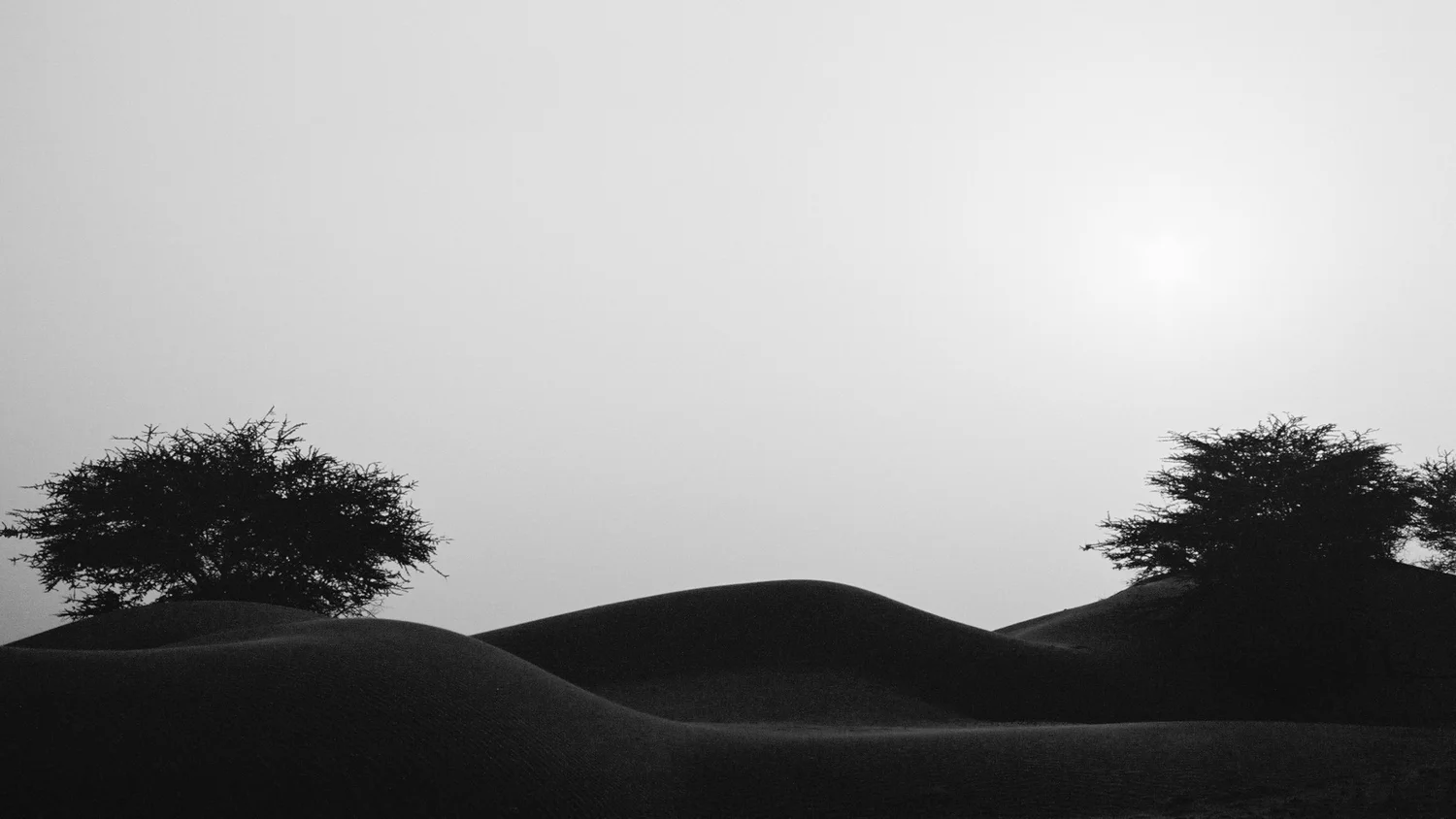Will Salkeld©_India_23_Khuri Desert.jpg
