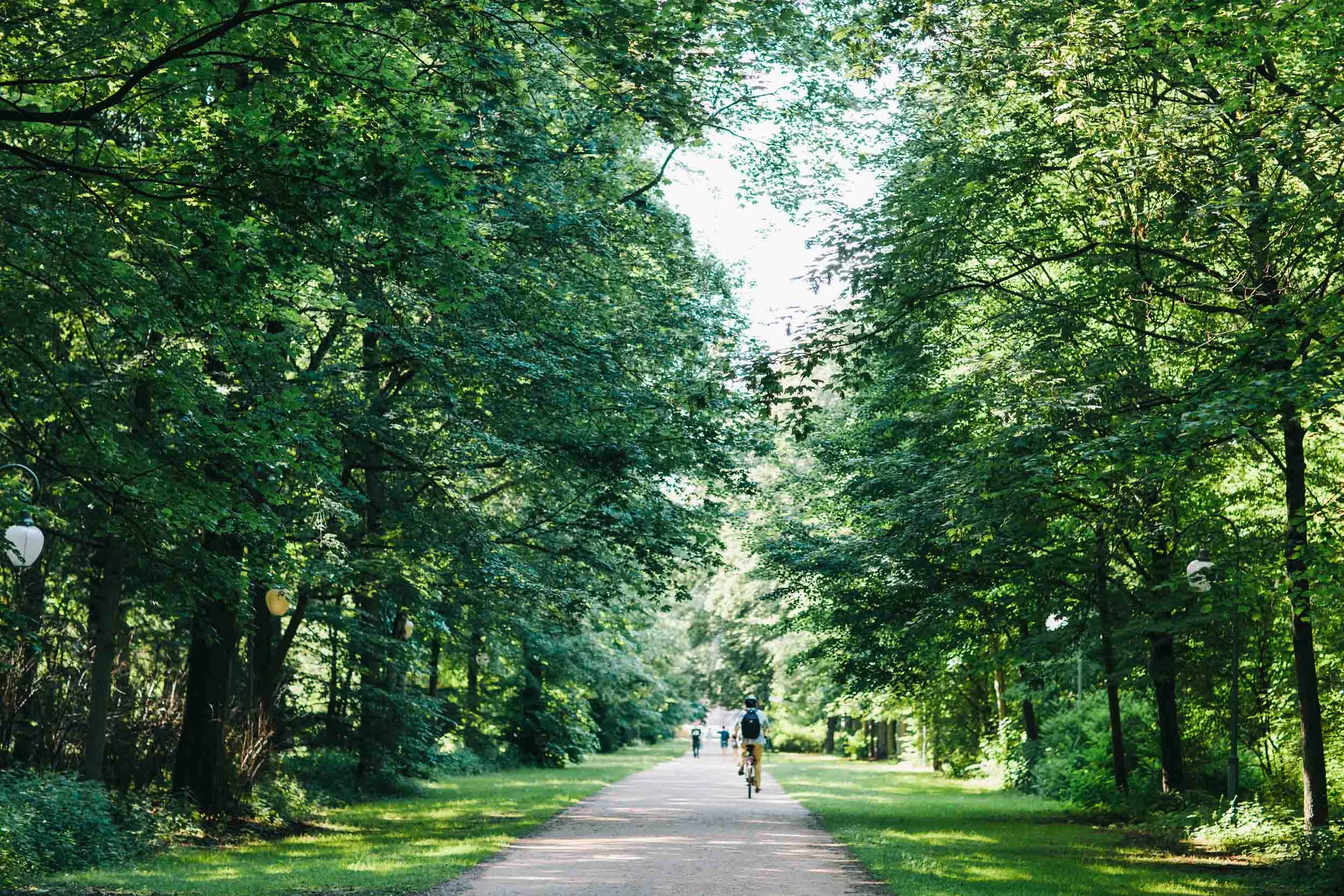 Will-Salkeld_Germany_Berlin_3_Tiergarten.jpg