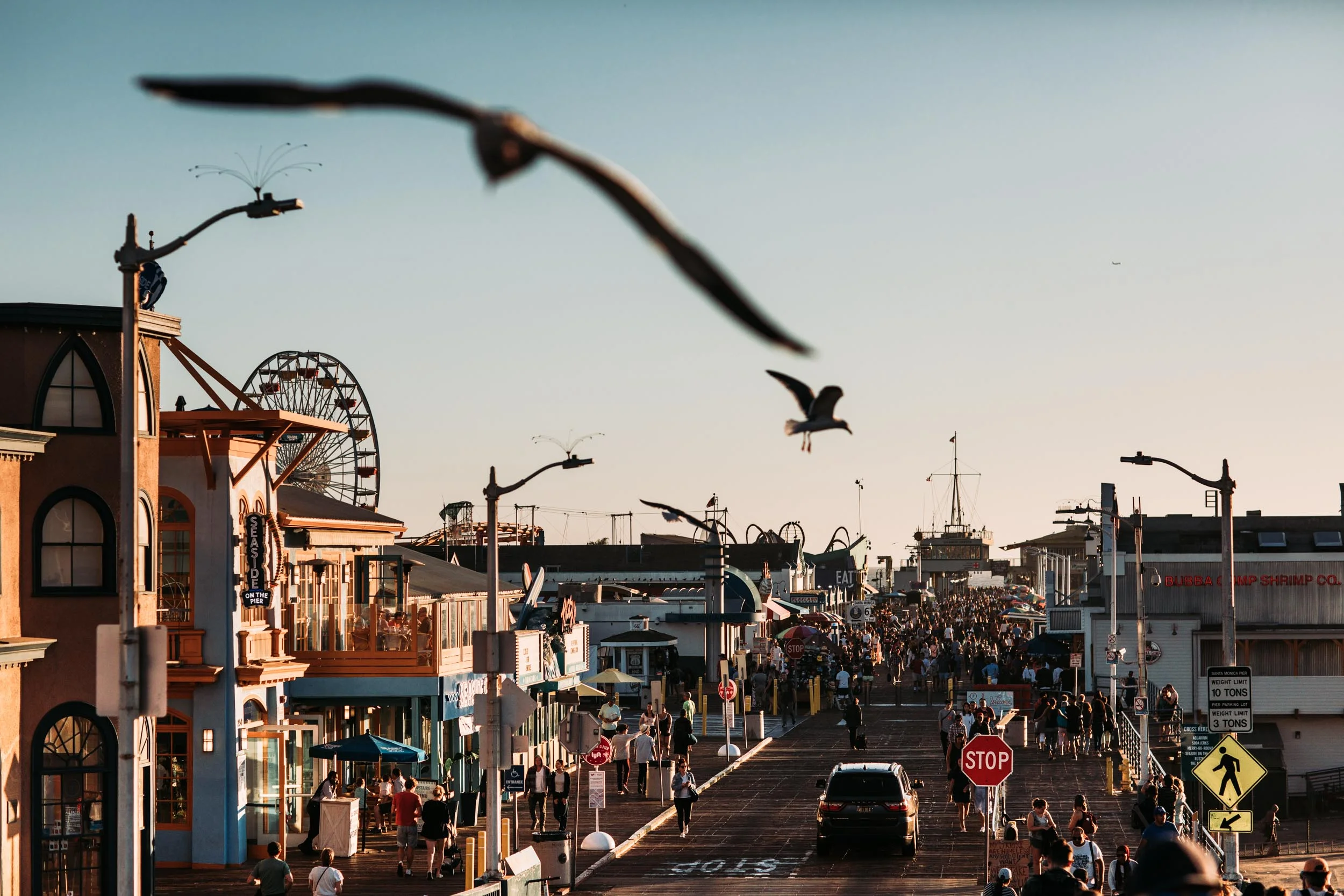 Will Salkeld_Los Angeles_4.jpg