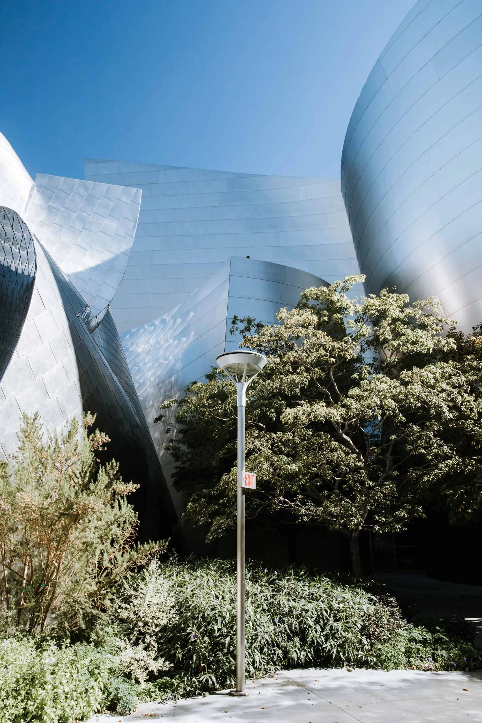 Will Salkeld_Los Angeles_14.jpg