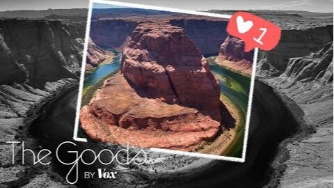 What happens when nature goes viral?