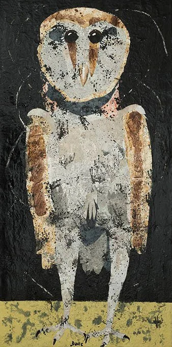 Barn Owl