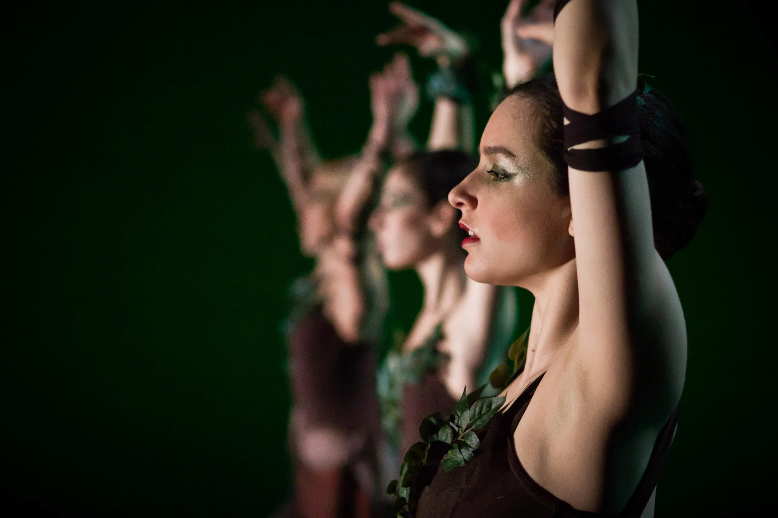 Forest Of Mirrors