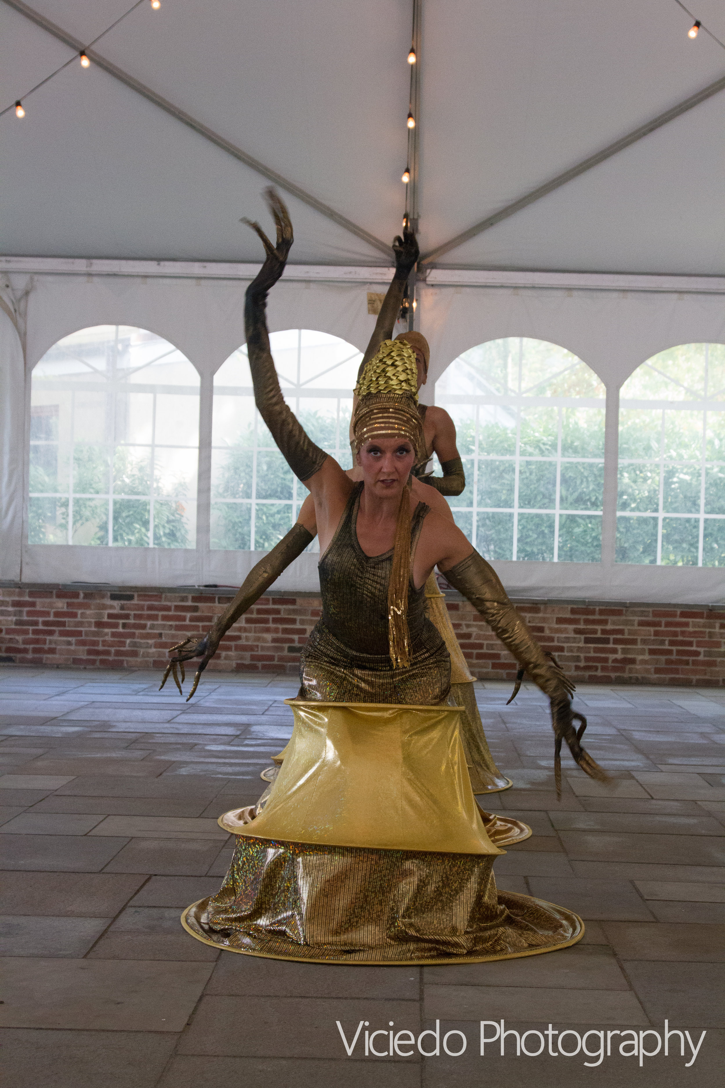 Art of Motion Dance Theatre. Viciedo Photography. Shakti photos AOMDT/choreography: Lynn Needle. Costume Design: Annie Hickman