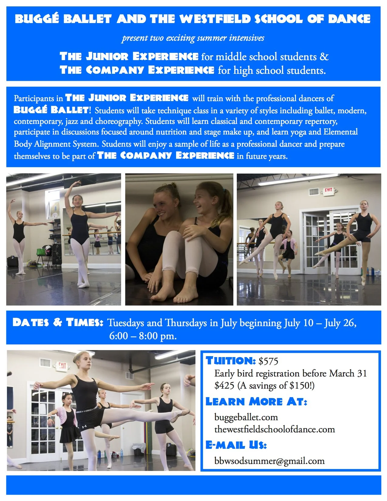 2018 Summer Intensive MS Final Final copy.jpg