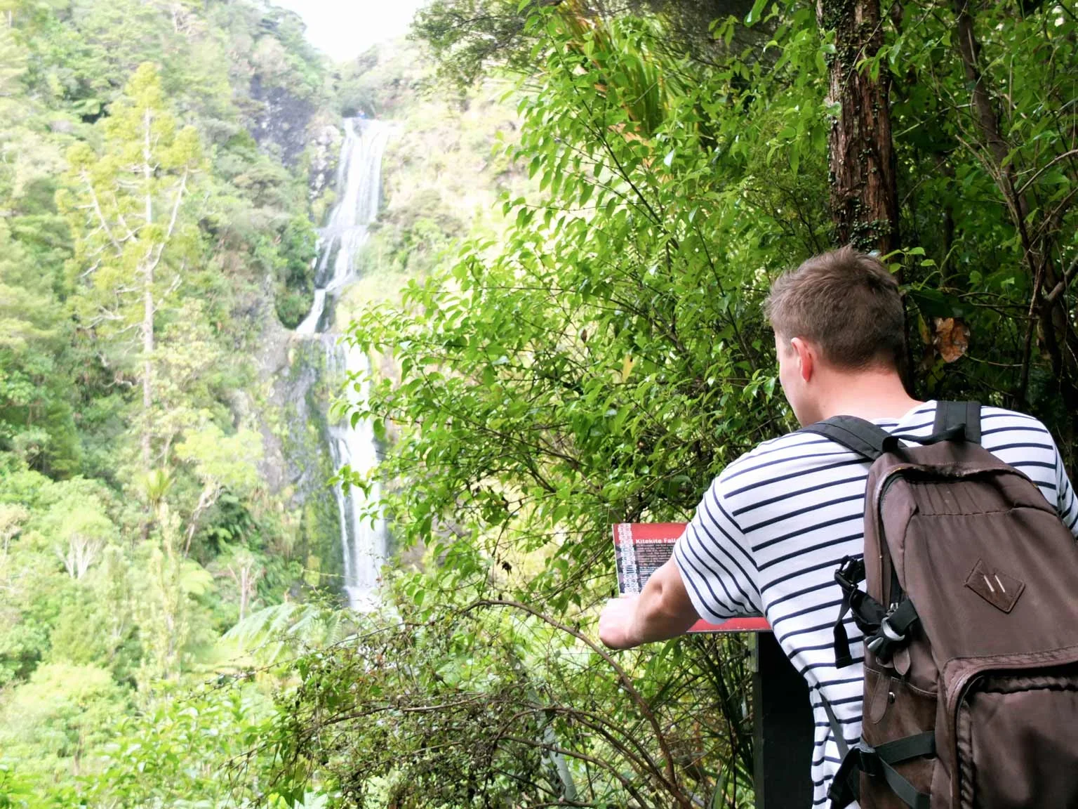 kitekitefalls10.jpg