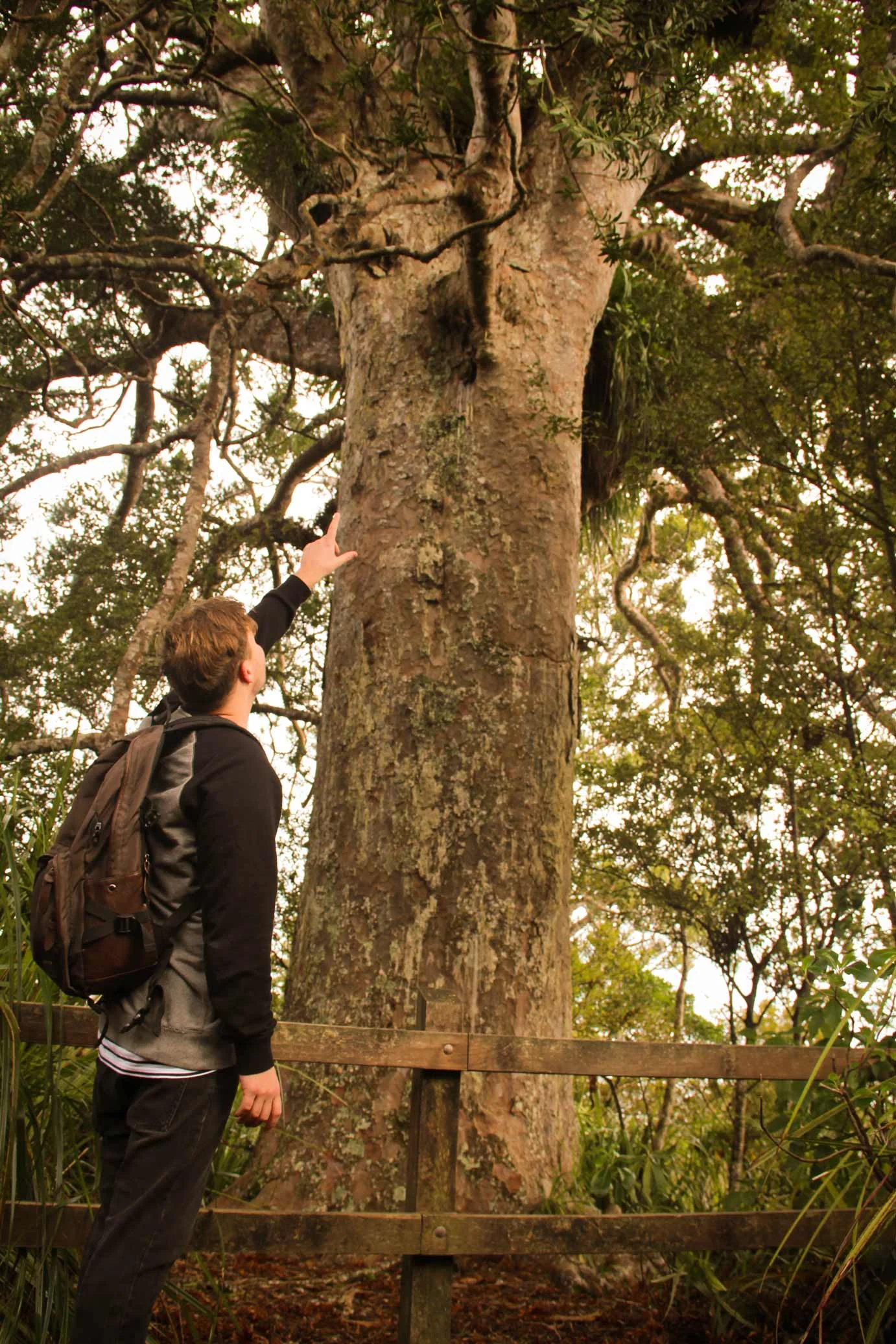 waitakeredam10.jpg
