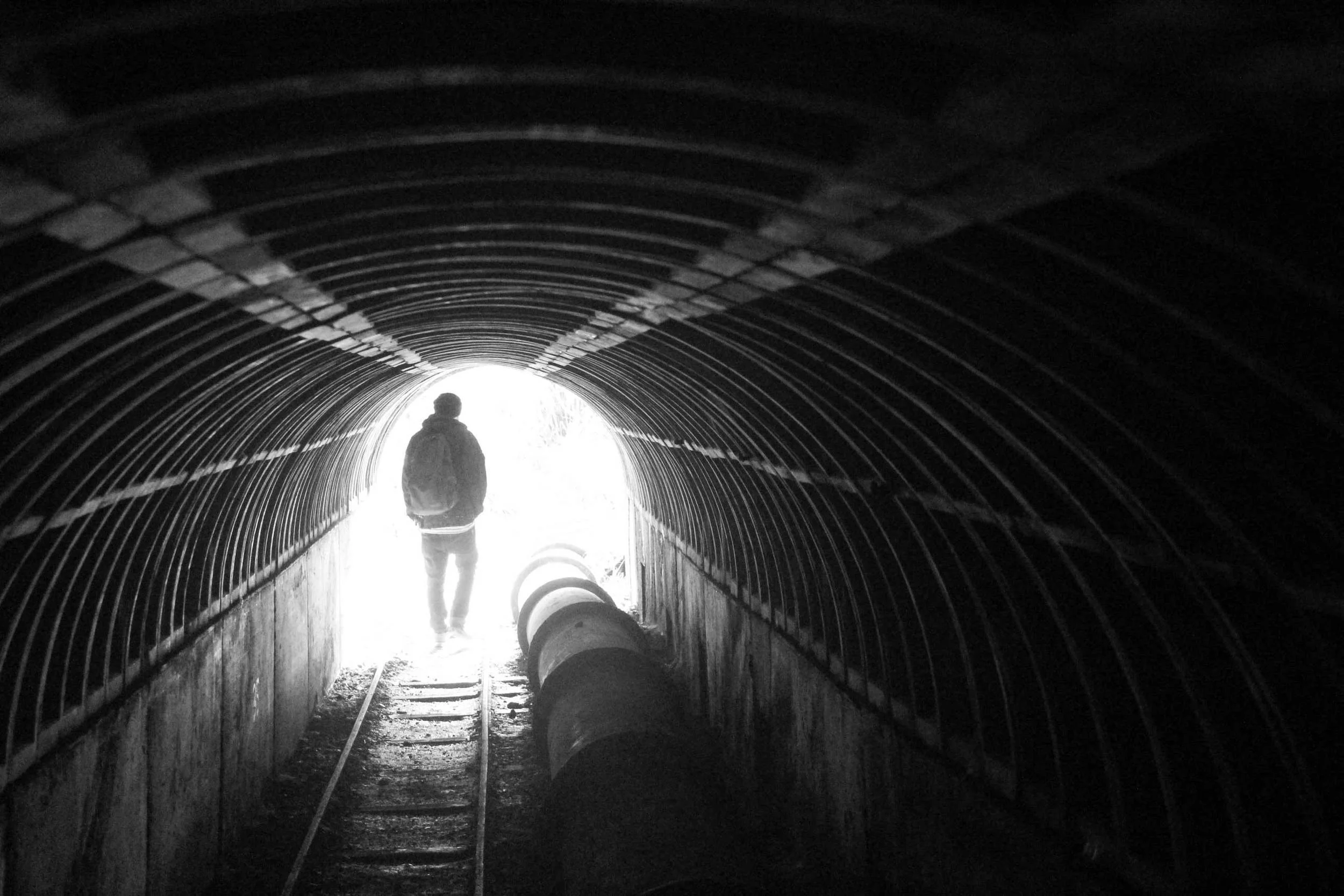 waitakere-tramline9.jpg