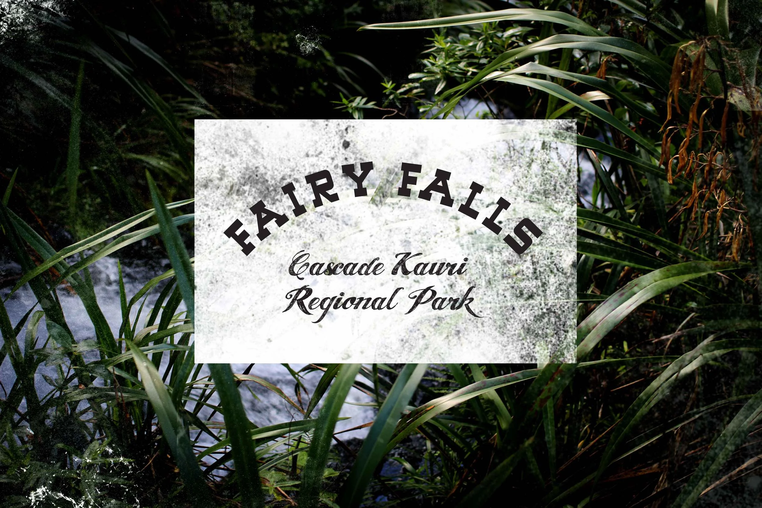fairyfallscascadekauri.jpg