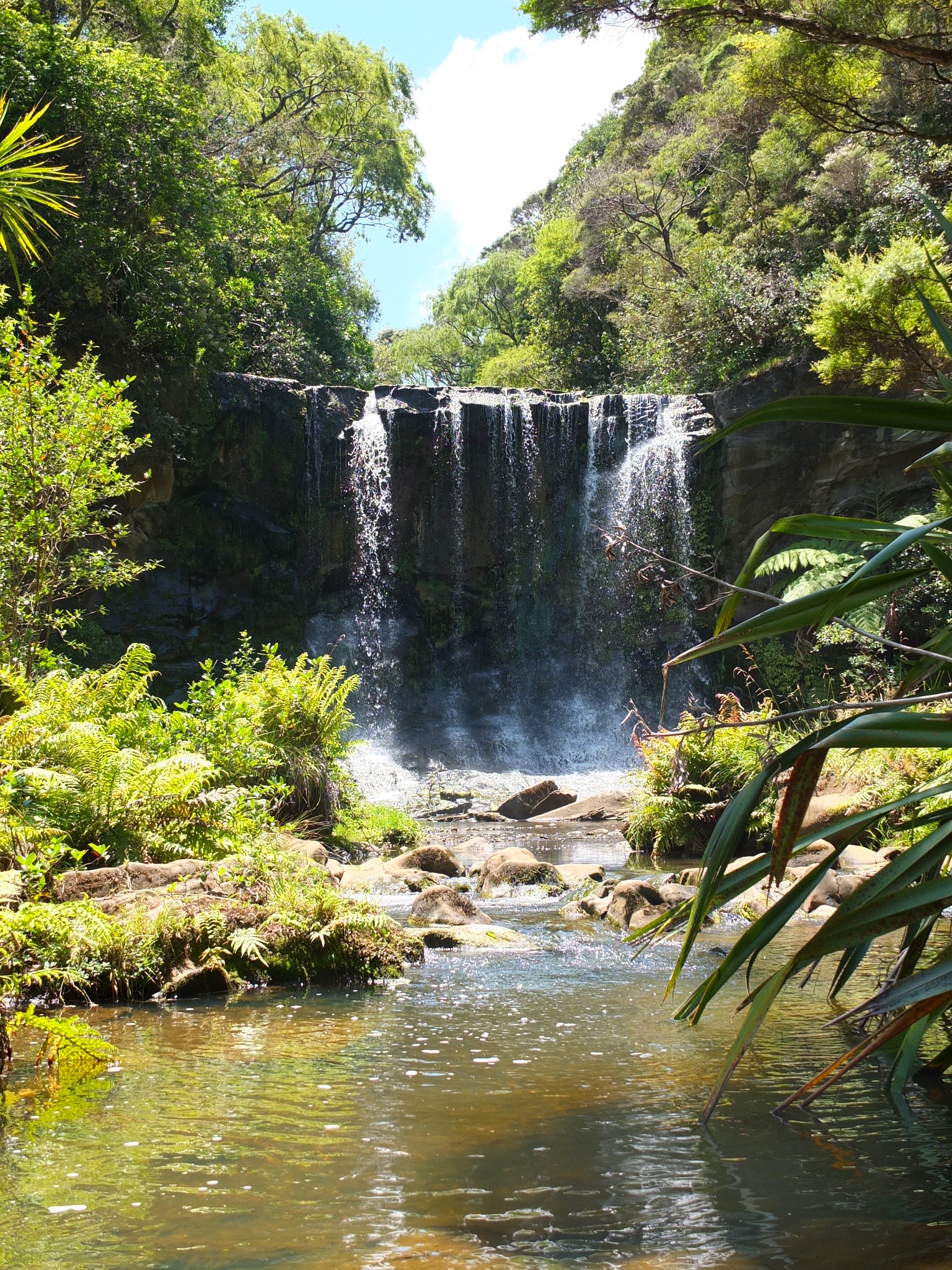 DSCF0674.jpg