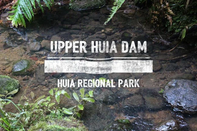 3.5 HOURS RETURN 35KM FROM AKL CBD