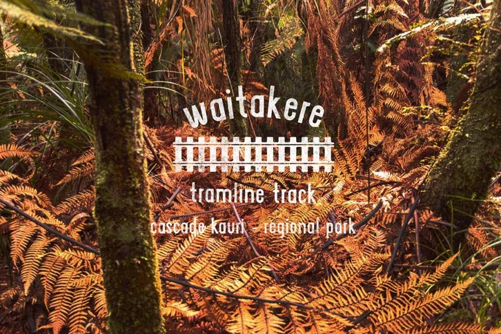 4.5 HOURS LOOP 30KM FROM AKL CBD