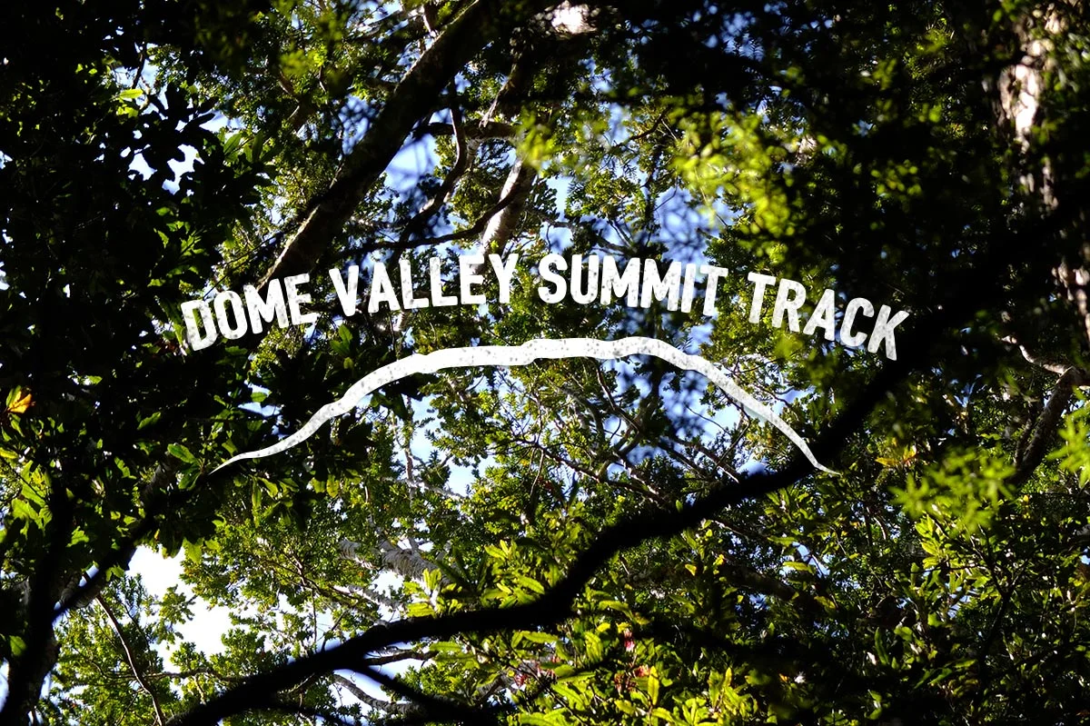 3 HOURS RETURN 74KM FROM AKL CBD