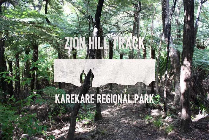 3 HOUR LOOP 38KM FROM AKL CBD