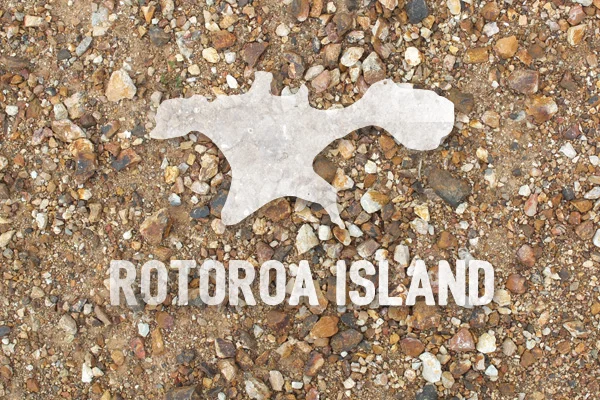 A DAY TO EXPLORE 60 MINUTE FERRY FROM AKL CBD