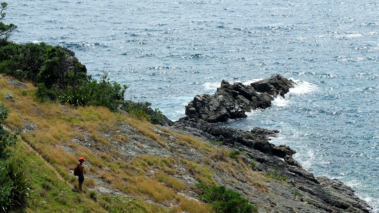 DSCF9304.jpg