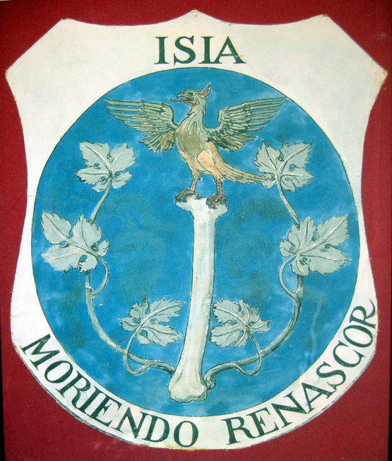 Moriendo renascor (‘In dying I am reborn’). Bone, vine, and phoenix represent the palingeneses of the vegetable and animal kingdoms from their mineral foundation. For Schwaller, the human femur—the largest bone in the body—was the repository of the fixed alchemical salt, the immortal mineral remains that neither fire nor putrefaction can destroy, ‘the last in corruption and the first in generation’ (Steeb). The incorruptible ashes or salts were regarded by Schwaller as the passive register that preserved an entity’s acquired consciousness, and the agent of all mutations between kingdoms and species. Photograph, A. Cheak, Èze-sure-mer, 2005.