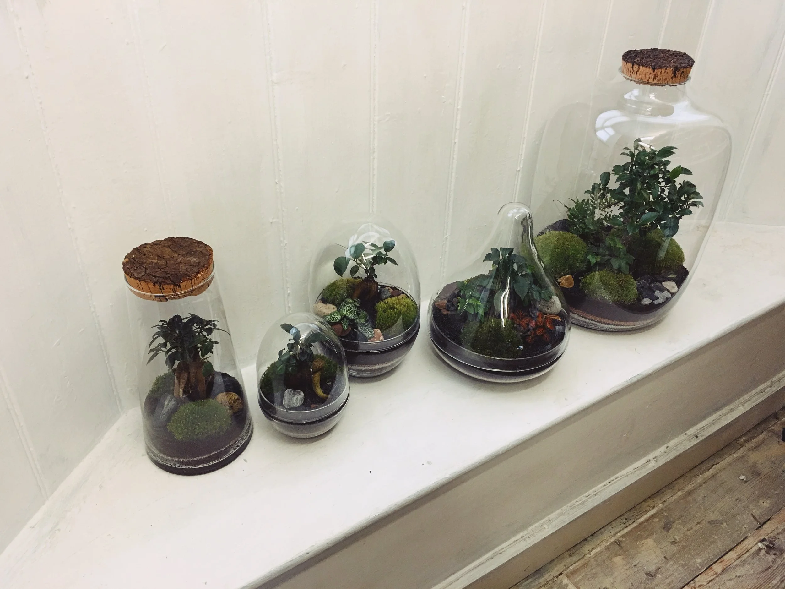 green-factory-2.jpg