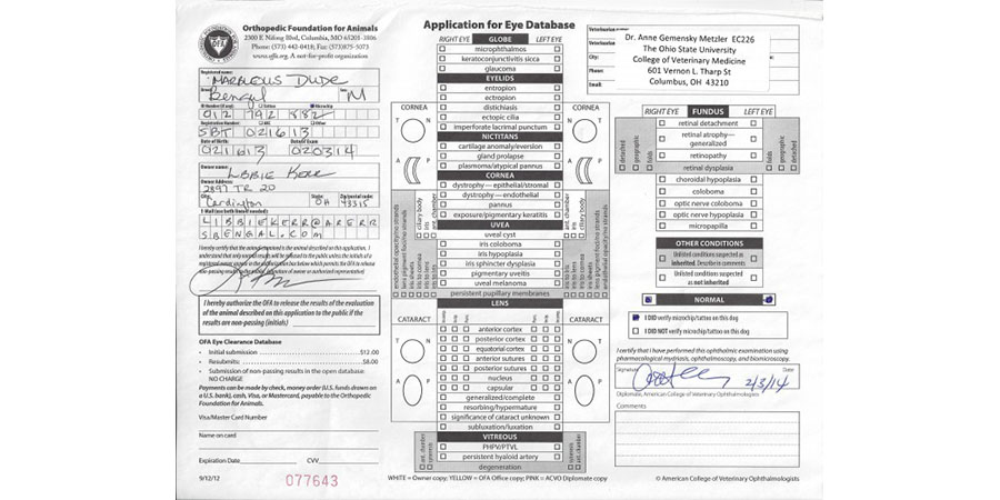 dude-eye-cert-680x525.jpg