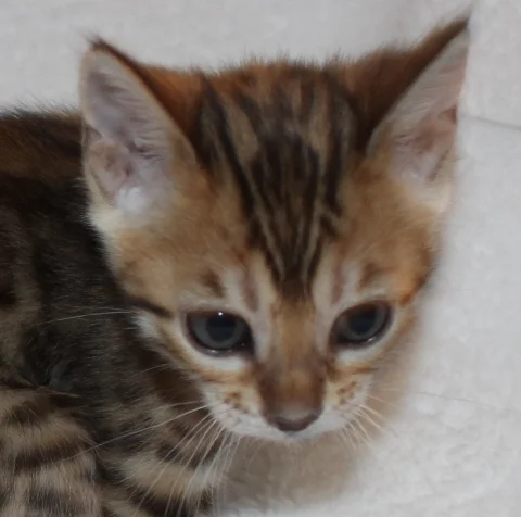 2016-01-22 23.50.56.jpg