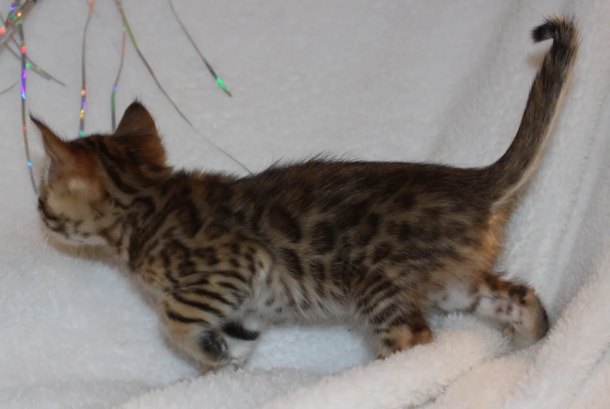 2016-01-22 23.51.14.jpg