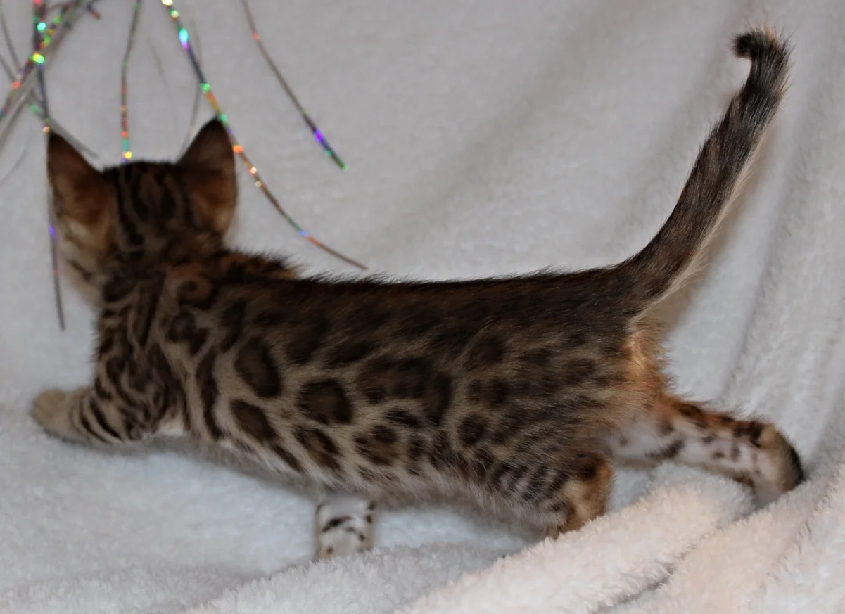 2016-01-22 23.51.15.jpg