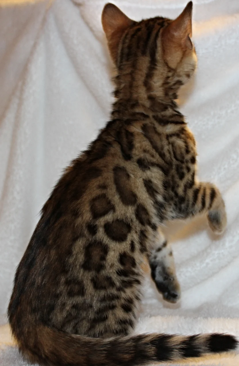 2016-02-08 05.42.21.jpg