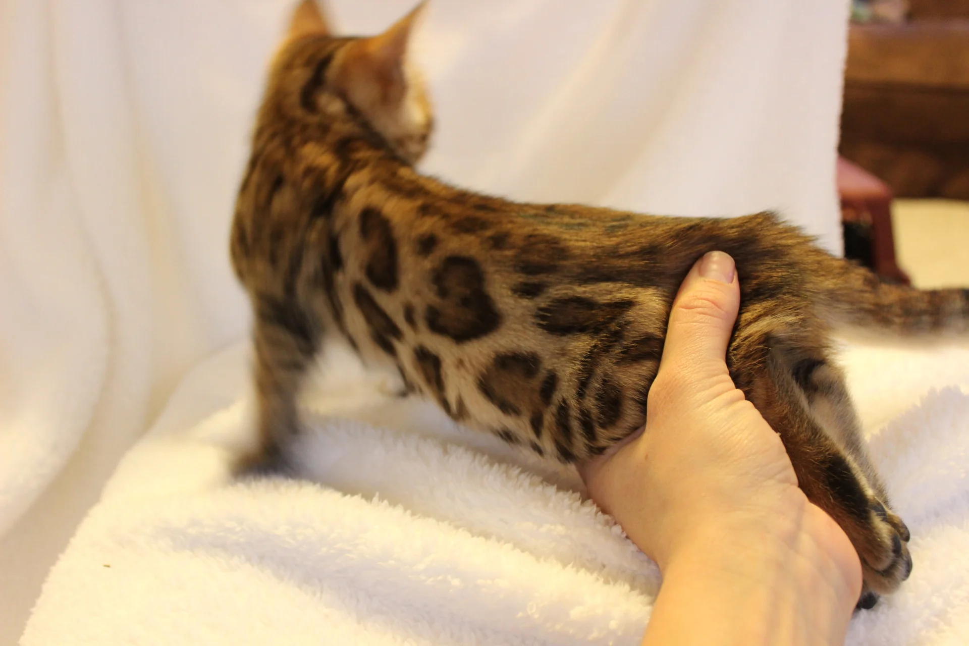 2016-02-08 05.45.50.jpg