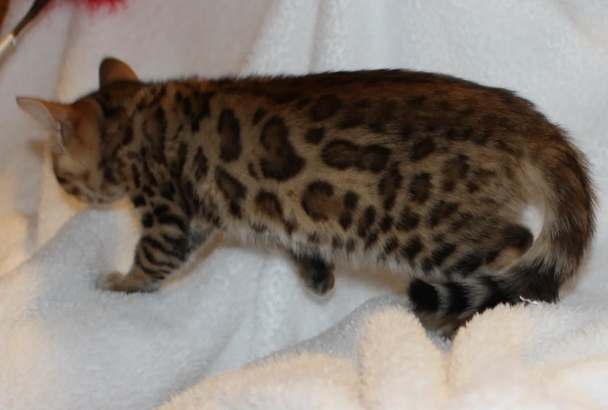 2016-02-08 05.43.40.jpg