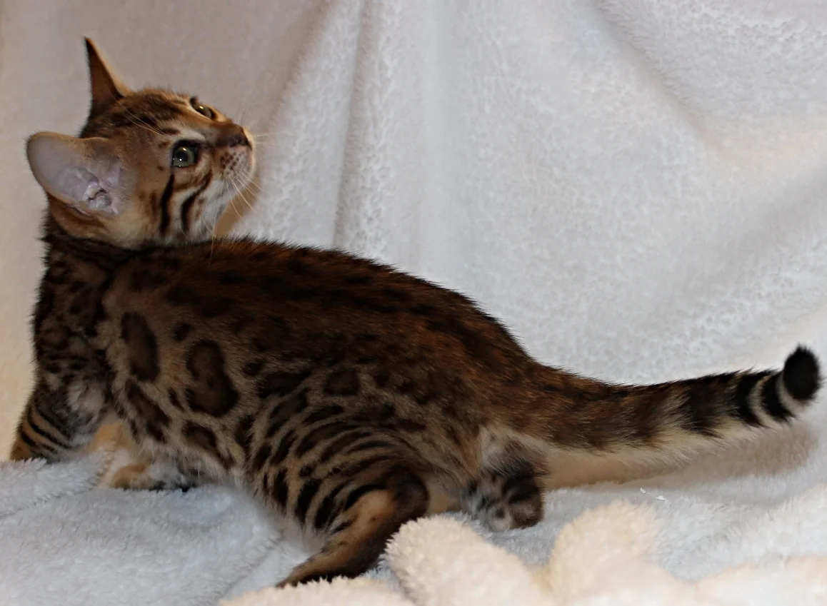 2016-02-08 05.43.55.jpg