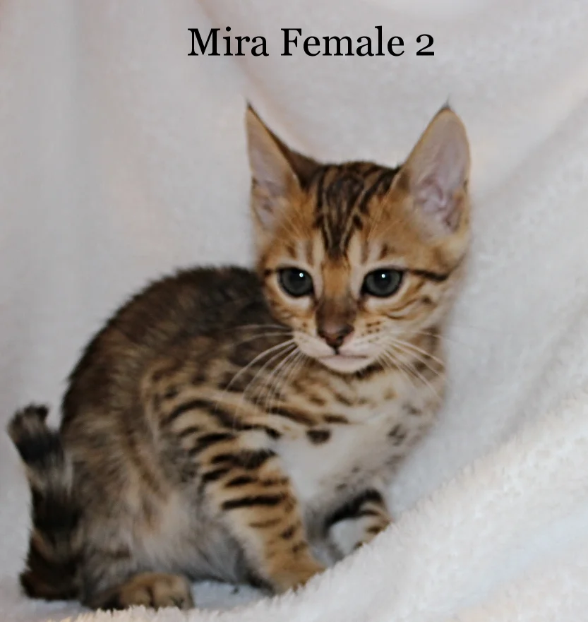 2016-02-08 05.50.50.jpg