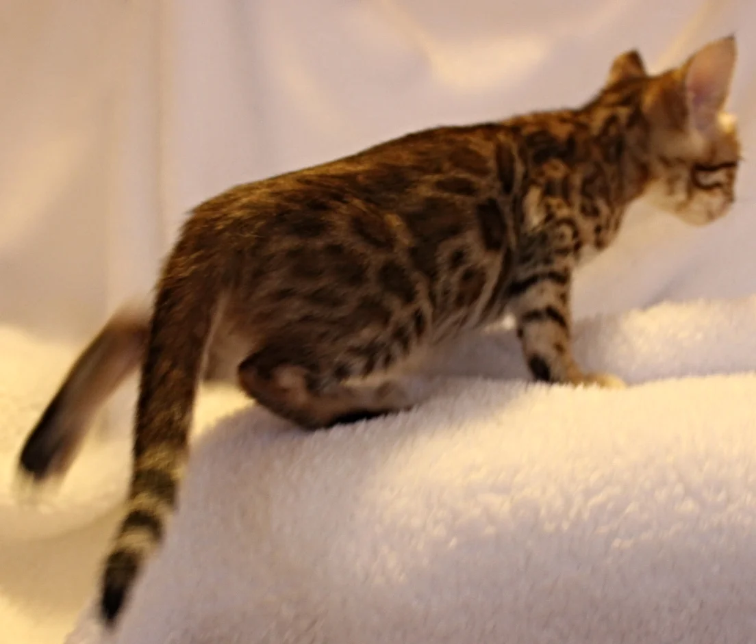 2016-02-08 05.51.21.jpg