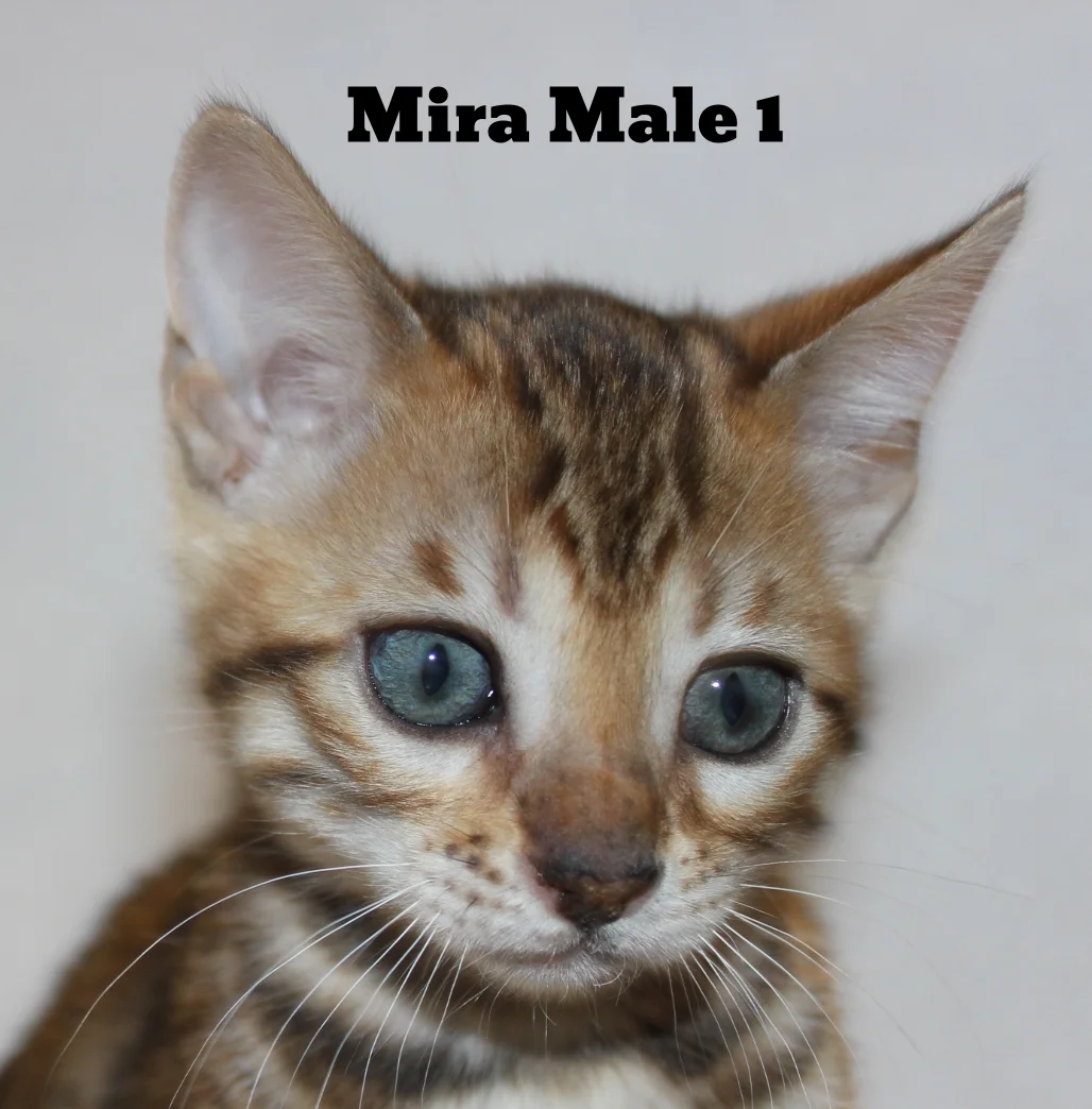 2016-02-08 04.57.23.jpg