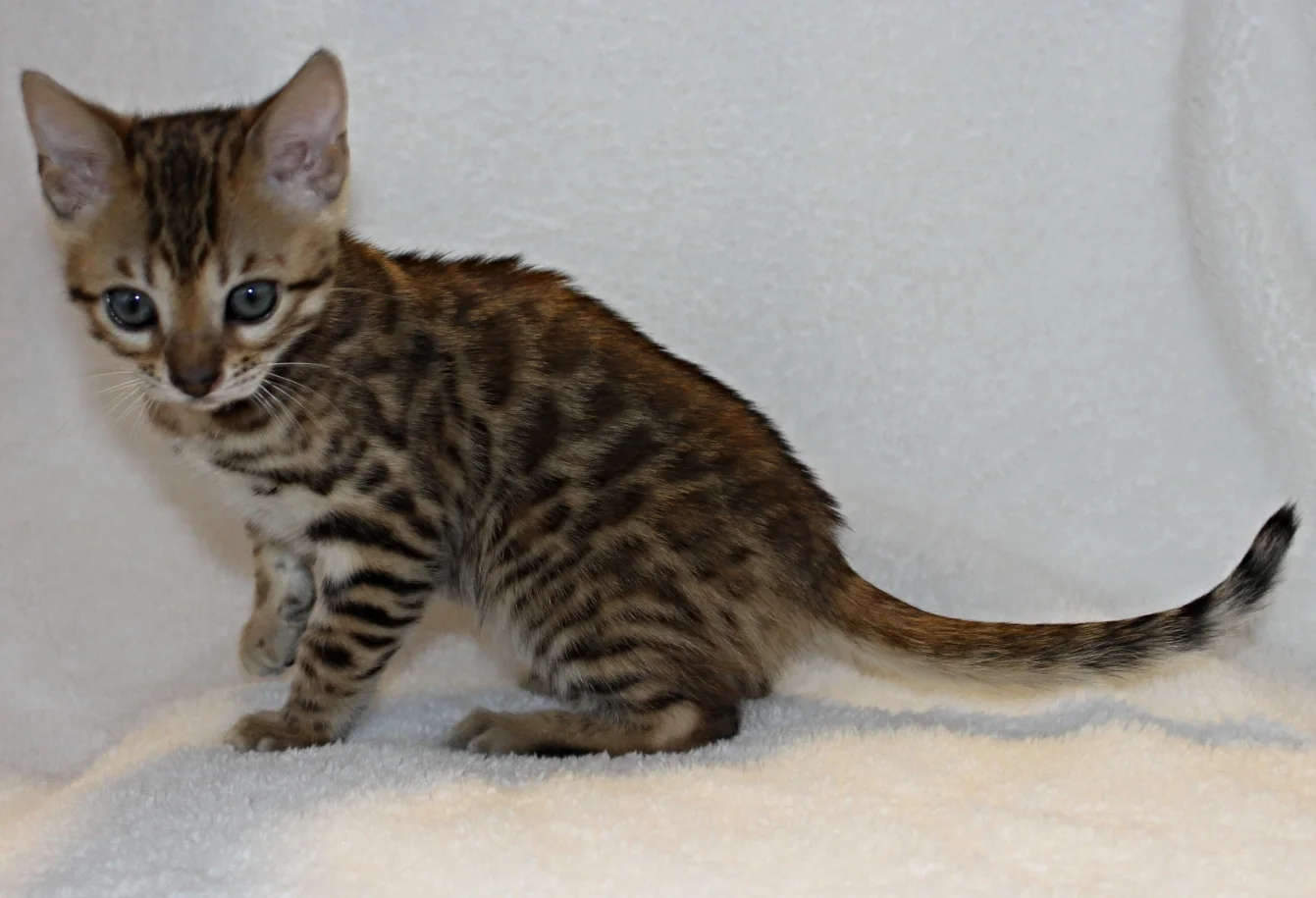 2016-02-08 04.54.23-2.jpg